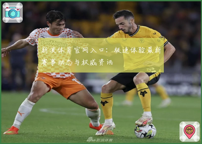 新浪体育官网入口：极速体验最新赛事动态与权威资讯