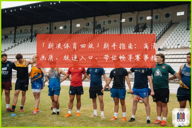 「新浪体育回放」新手指南：高清画质、极速入口，带你畅享赛事精彩瞬间