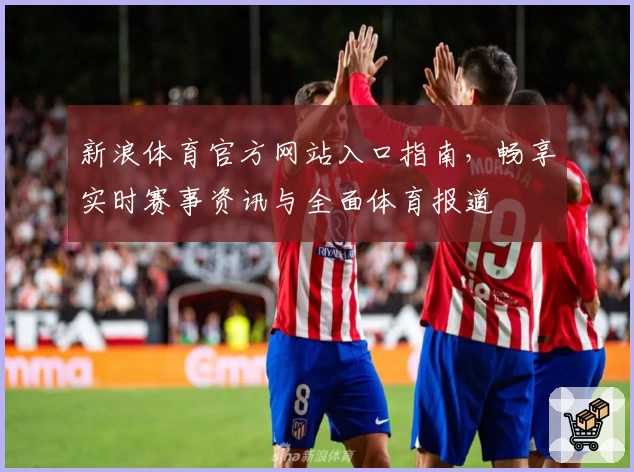 新浪体育官方网站入口指南，畅享实时赛事资讯与全面体育报道