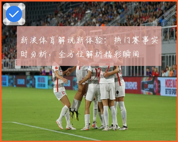 新浪体育解说新体验：热门赛事实时分析，全方位解析精彩瞬间