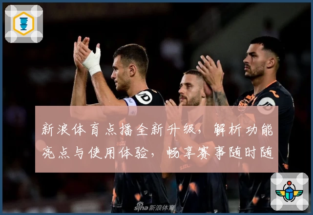 新浪体育点播全新升级，解析功能亮点与使用体验，畅享赛事随时随地在线回看