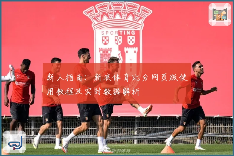新人指南：新浪体育比分网页版使用教程及实时数据解析