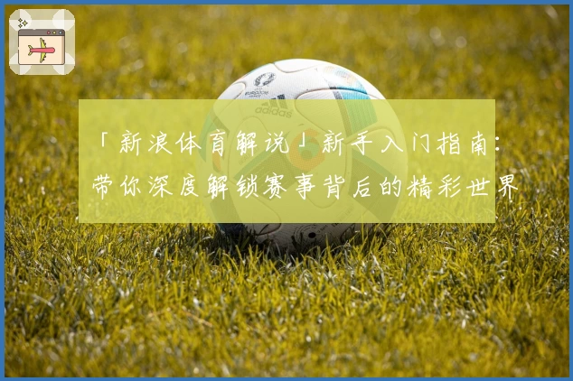 「新浪体育解说」新手入门指南：带你深度解锁赛事背后的精彩世界